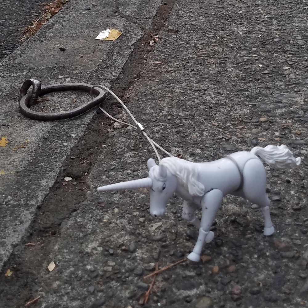 Meet your Posher, Rachel